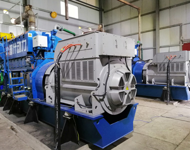 丰都甘泰沼气发电项目配博天堂网址2台850KW/10.5KV6极高压发电机