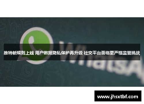 推特新规则上线 用户数据隐私保护再升级 社交平台面临更严格监管挑战